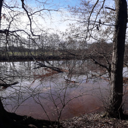 EMS-Oberlangen-20190427