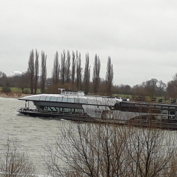Rhein-20190128