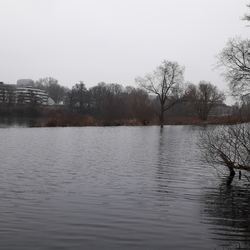 Ruhr-20190124