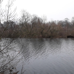 Ruhr-20190124