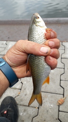 20200802 130227