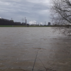 Rhein-20220102