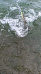 IMG-20220508-WA0001