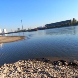 Rhein-20220812