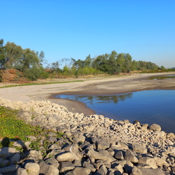 Rhein-20220812