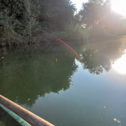 Reitwegsee-20240829