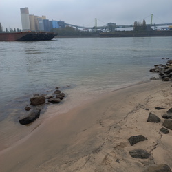 Rhein-20241110