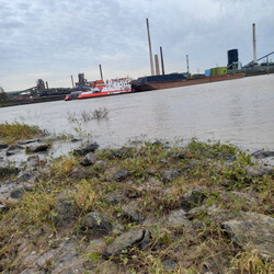 Rhein-20241124