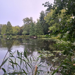 An den Teichen-20250915