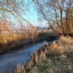 Rhein-20250302