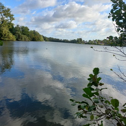 Ternscher-20250915