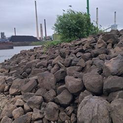 Rhein-20260604