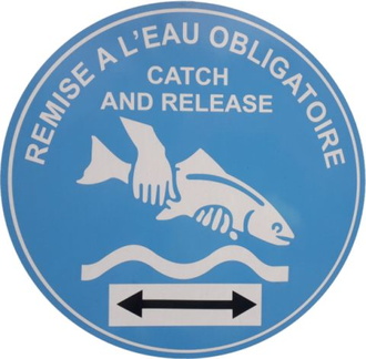 Catch Release-480