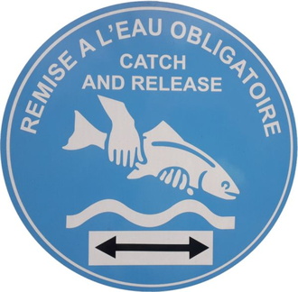 Catch Release-600