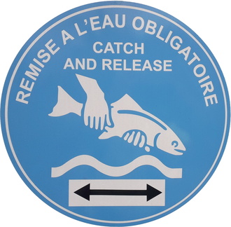 Catch Release