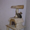 DSCN1041