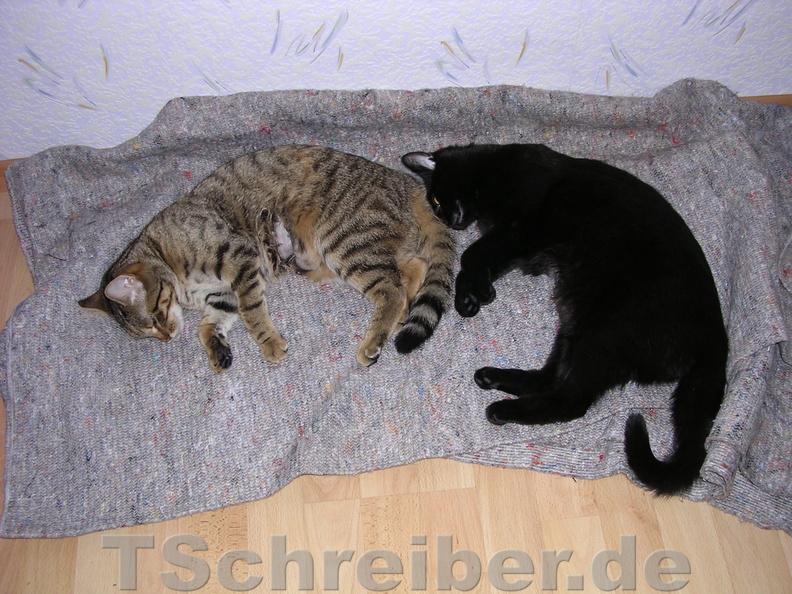 DSCN1211.JPG