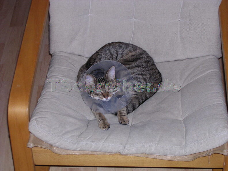 DSCN1233.JPG