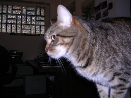 DSCN1434